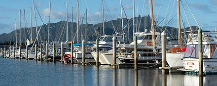 Marsden Cove Marina with Whangarei Heads in background