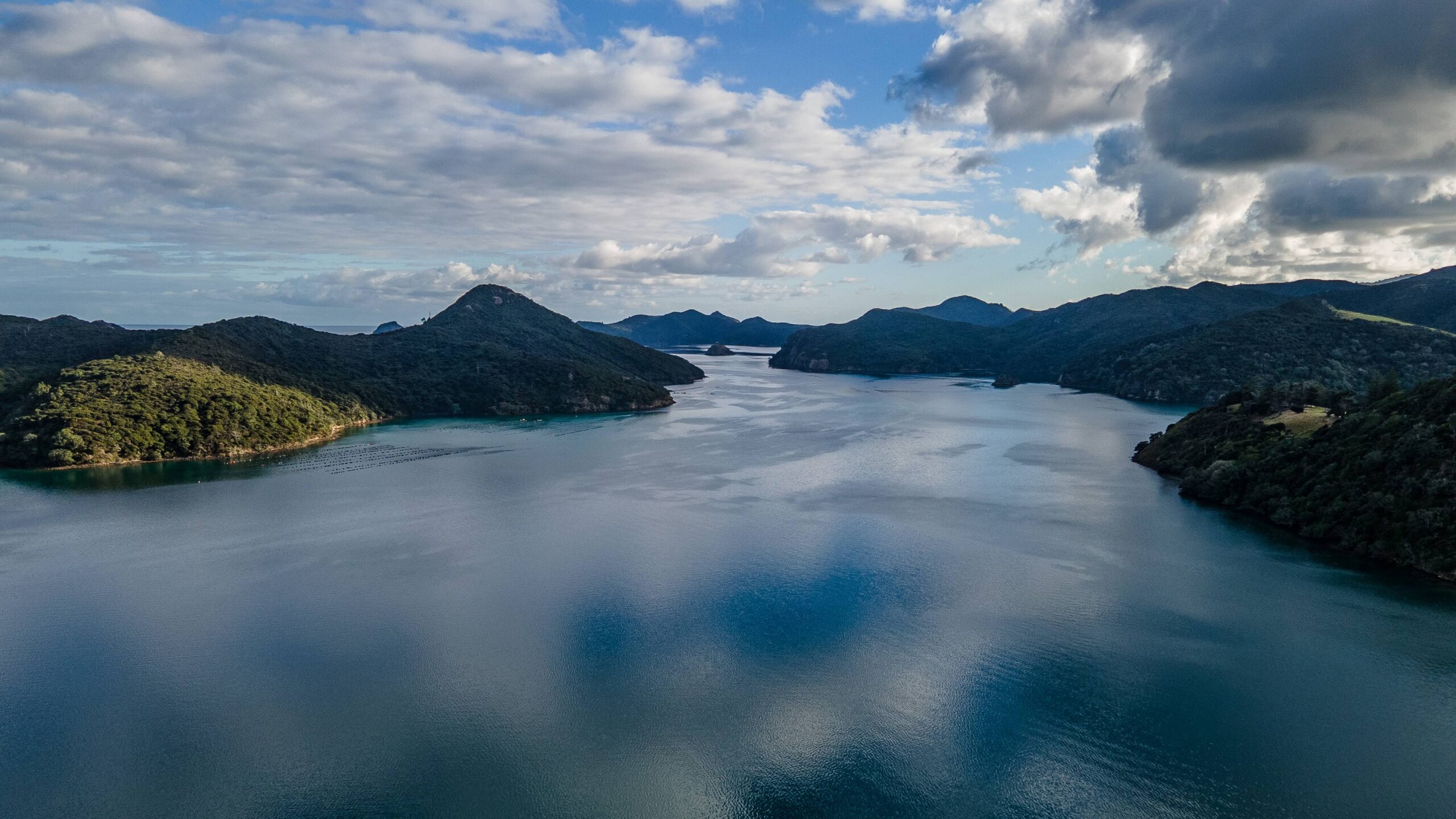 Project Kahurangi